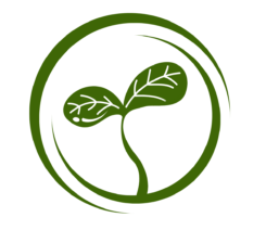 Guia y Curiosidades de las plantas